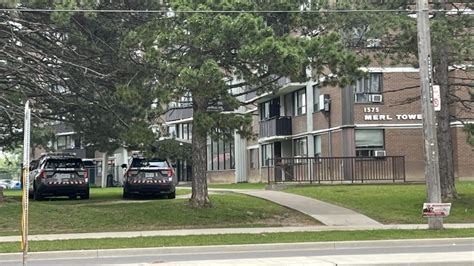 2 men charged after young girl bitten by loose dogs in Scarborough