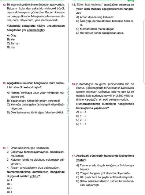 2 sınıf türkçe seviye tespit sınavı