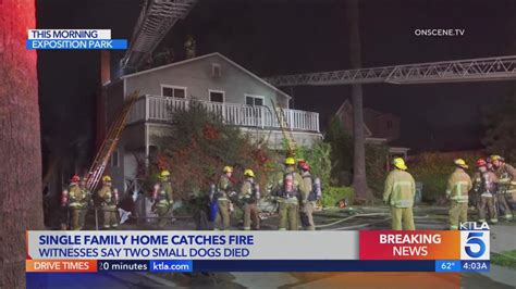 2 small dogs killed in Exposition Park house fire
