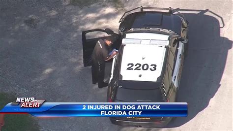 2 transported to hospital after dog attack in Florida City