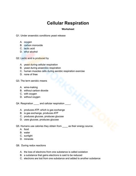 Read Online 2 2 5 Respiration Worksheet Answers Pdf 