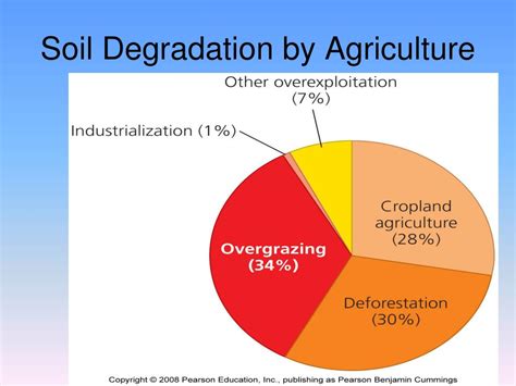 Full Download 2 Soil Degradation And Agricultural Production Economic 