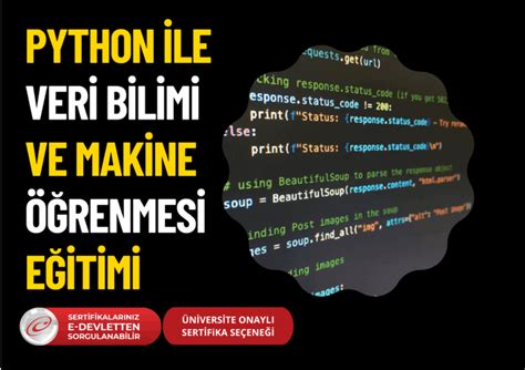 codini.rgarabwor.edu.pl. 