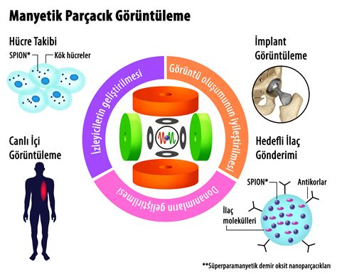 2. Yüksek Çözünürlükte Manyetik Parçacık Görüntüleme.