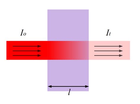 2.1.5: Spectrophotometry - Chemistry LibreTexts - wintechmobiles.com