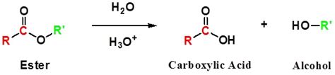 2.10: Reactions of Esters - Chemistry LibreTexts - wintechmobiles.com