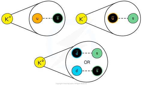 2.2.5 Quarks & Antiquarks - Save My Exams