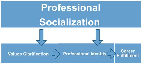 2.4: CHAPTER FOUR – PROFESSIONAL SOCIALIZATION OF …