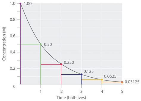 2.6 Half-lives and the Rate of Radioactive Decay - wintechmobiles.com