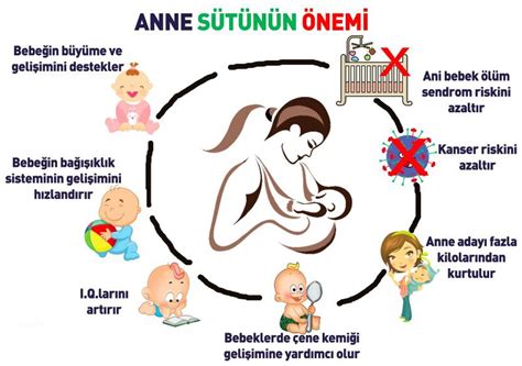 genssuffweb.rgarabwor.edu.pl. 