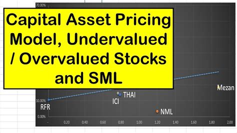 2.Capital Rotation and the Search for Undervalued Assets