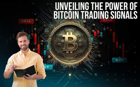 2.On-Chain Data: Unveiling Bitcoin's Internal Signals