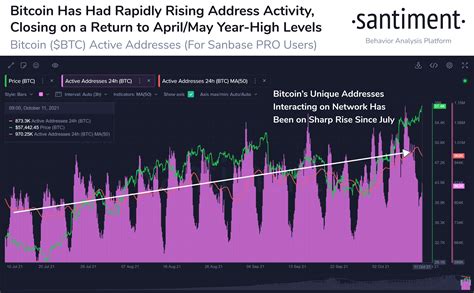 2.On-Chain Data Paints a Bullish Picture
