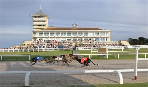 20:38 Towcester Races Tuesday 18 April Greyhounds …