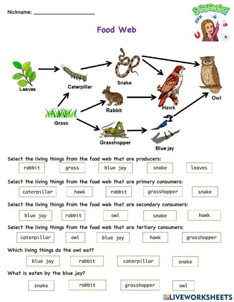 20++ Food Web Worksheet Answer Key Worksheets Decoomo