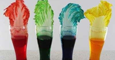 20+ Contoh Gejala Kapilaritas yang Menguntungkan dan Merugikan dalam ... - wintechmobiles.com