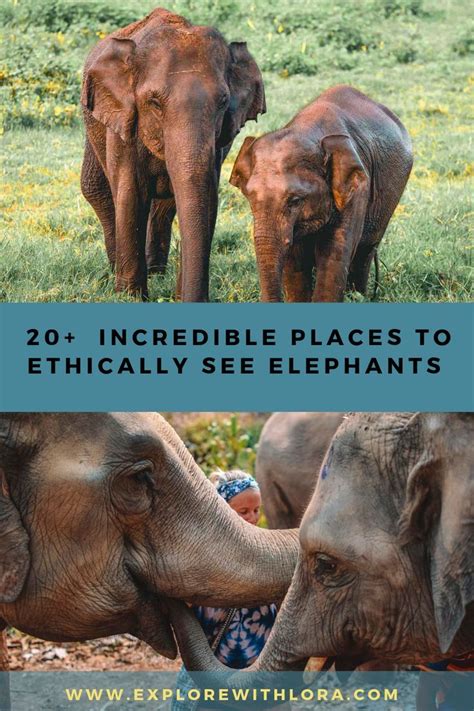 20+ Ethical Elephant Encounters you can have in the …