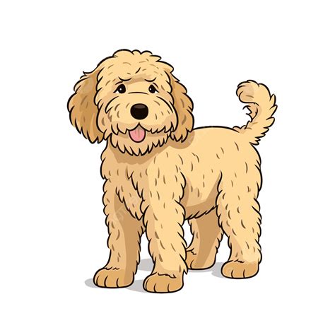 20+ Goldendoodle Clipart Gif Alade