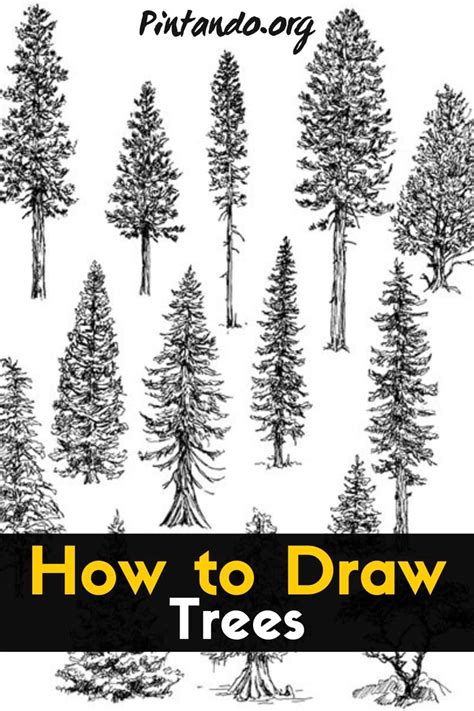 20+ Tree Drawing & Painting Ideas - Brighter Craft