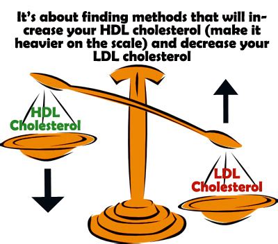 20+ Ways to Lower Cholesterol: Boost HDL and Push …