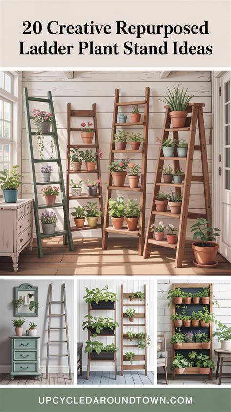 20 Creative Repurposed Ladder Plant Stand Ideas for Your Home - raincitystudios.com