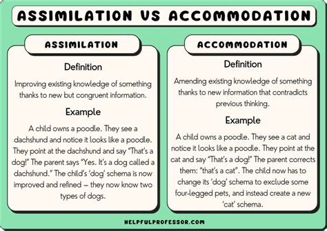 20 Examples of Assimilation and Accommodation