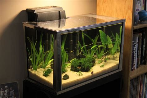 20 Gallon Fish Tanks & Under (Free Shipping) Chewy