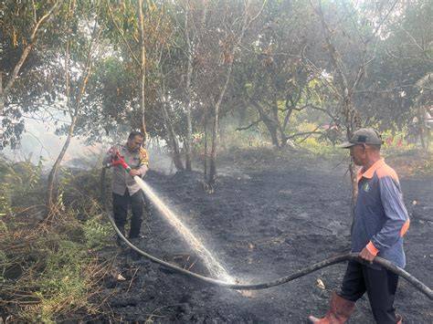 20 Hektare Lahan Gambut Terbakar di Kubu Raya - raincitystudios.com
