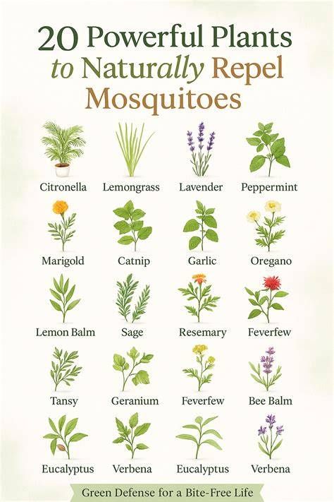 20 Insect Repellent Plants To Deter Bugs Away - raincitystudios.com