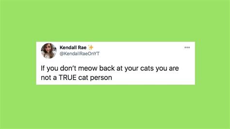 20 Of The Funniest Tweets About Cats And Dogs This Week (Feb.