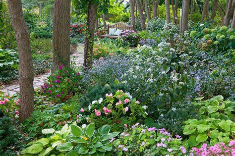 20 Shady Garden Corner Ideas for a Vibrant Shade … - raincitystudios.com