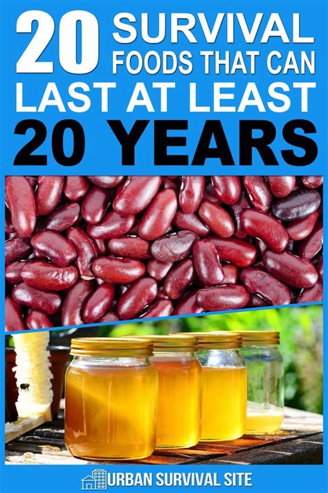 20 Survival Foods That Will Last 20 Years - Bio Prepper