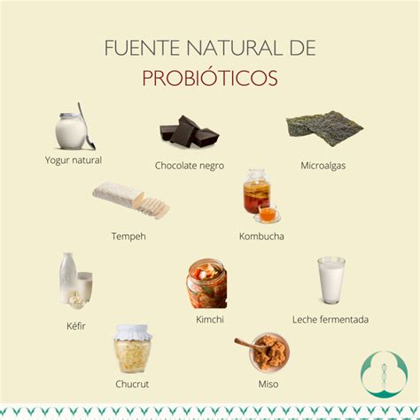 20 Alimentos Probioticos