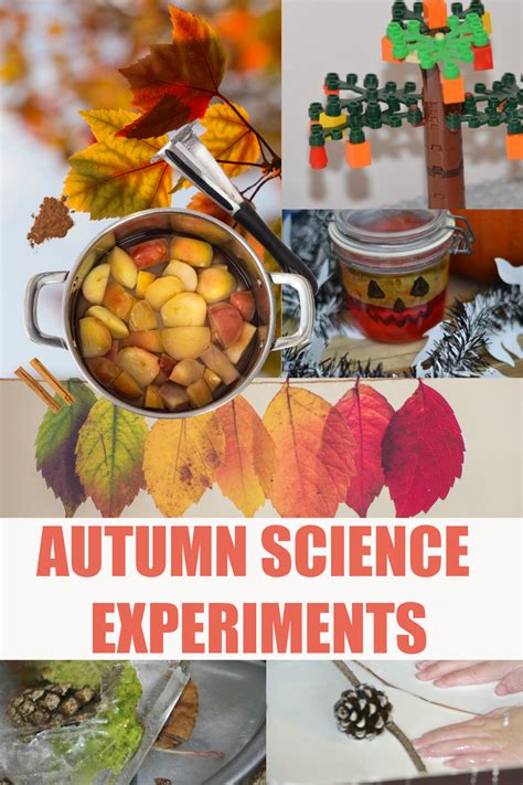 20 Autumn And Fall Science Experiments Science Sparks Fall Science Activities For Preschool - Fall Science Activities For Preschool