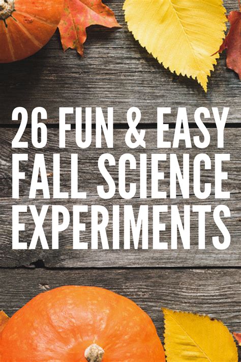 20 Awesome Fall Science Experiments Little Bins For Fall Science Activities - Fall Science Activities