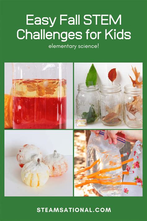 20 Brilliant Stem Activities For Fall That Elementary Fall Science Activities - Fall Science Activities