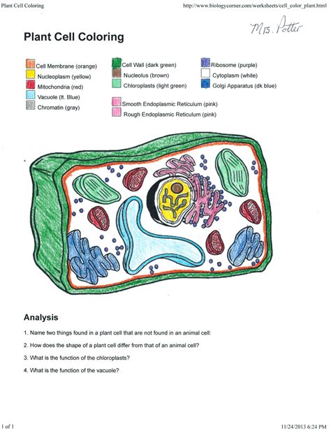 20 Cell Coloring Worksheets Plant Cell Coloring Worksheet Answer Key - Plant Cell Coloring Worksheet Answer Key