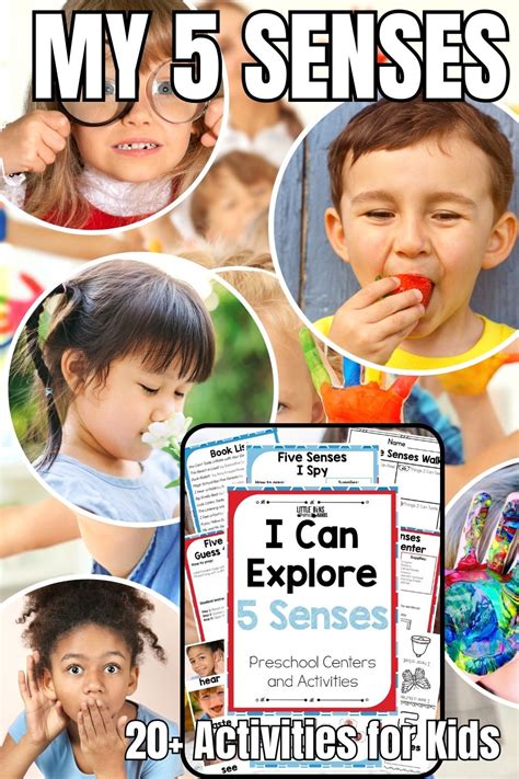 20 Engaging 5 Senses Activities Little Bins For 5 Senses Activity For Kindergarten - 5 Senses Activity For Kindergarten