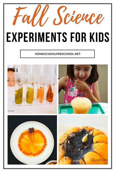 20 Engaging Fall Science Experiments For Preschoolers Fall Science Activities Preschoolers - Fall Science Activities Preschoolers