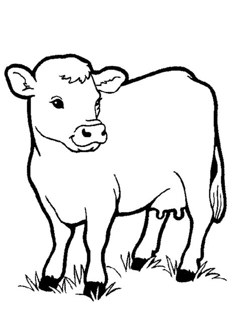 20 Free Printable Cow Coloring Pages Everfreecoloring Com Coloring Page Of Cows - Coloring Page Of Cows