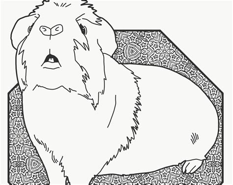 20 Free Printable Guinea Pig Coloring Pages Guinea Pig Coloring Page - Guinea Pig Coloring Page