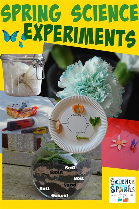 20 Fun Spring Science Experiments For Kids Science Spring Science Activities For Preschoolers - Spring Science Activities For Preschoolers