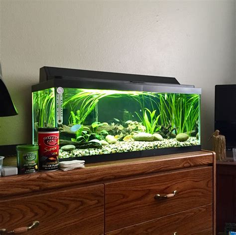 20 Gallon Fish Tank Stand - Aquarium Stand 20 Gallon, 24.8" x 13"W x 30.1" Adjustable Reptile Tank Stand, Heavy Duty Metal Breeder Tank Stand for Accessories Storage. 4.3 out of 5 stars. 18. 100+ bought in past month. $67.99 $ 67. 99. Save 5% on 2 select item(s) FREE delivery. Marina Aquarium Kit - 20 gallon Fish Tank - LED.. 20 gallon aquarium fish tank