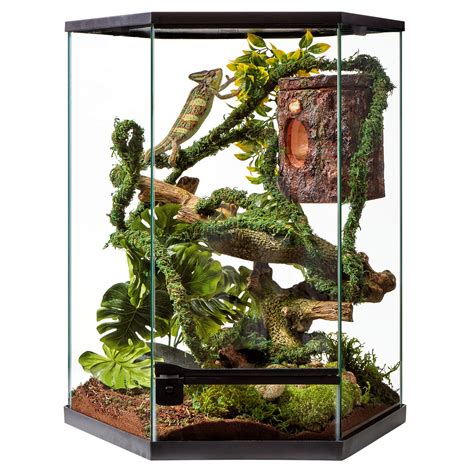 10 gallon terrarium starter kit ; Made-in-the-USA terrarium is 20.25 x 10.5 x 12.56 inches ; Great starter kit for leopard geckos, bearded dragons, and juvenile snakes ; ... Exo Terra Glass Terrarium Kit, for Reptiles and Amphibians, Mini Tall, 12 x 12 x 18 inches, PT2602A1.. 