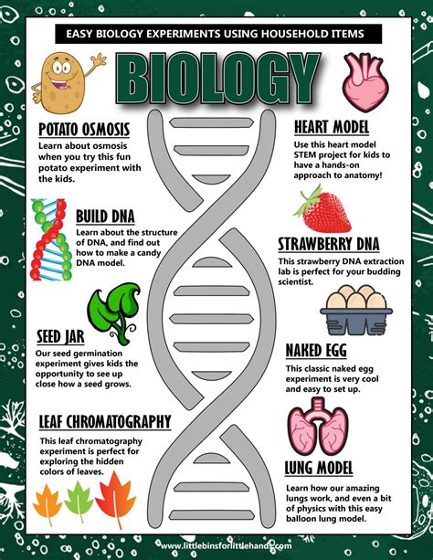 20 Hands On Biology Activities For Kids Science Living Things - Science Living Things