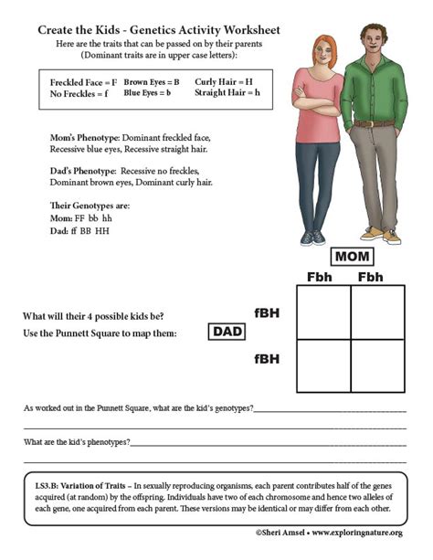 20 Heredity Traits Worksheets 7th Grade Mendel S Worksheet - 7th Grade Mendel's Worksheet