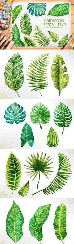 20 idées de Feuilles ape feuille, feuilles tropicales ... - Pinterest