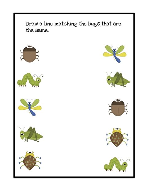 20 Insect Worksheets For Preschoolers Simple Template Preschool Insect Worksheets - Preschool Insect Worksheets