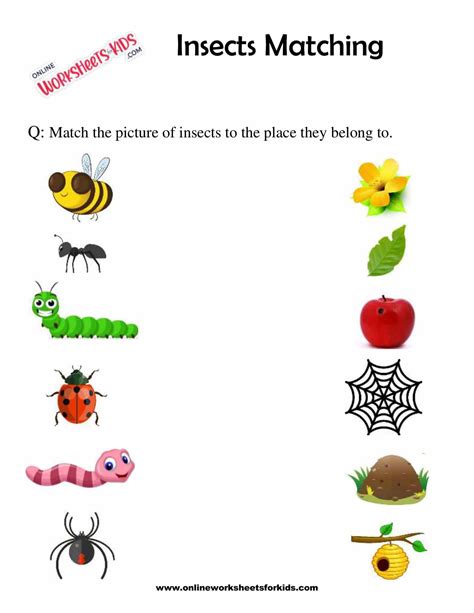 20 Insects Worksheets For Kindergarten Desalas Template Insects Worksheets For Kindergarten - Insects Worksheets For Kindergarten