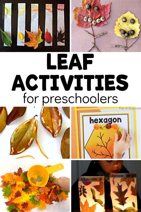20 Leaf Activities For Preschoolers Fun A Day Leaf Activity Worksheet - Leaf Activity Worksheet
